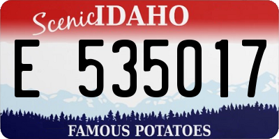 ID license plate E535017