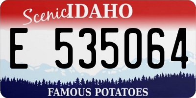 ID license plate E535064