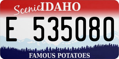 ID license plate E535080