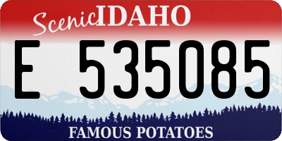 ID license plate E535085