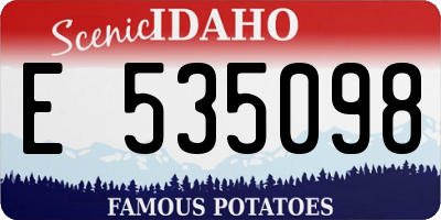 ID license plate E535098