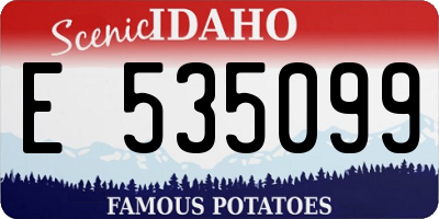 ID license plate E535099