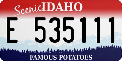 ID license plate E535111