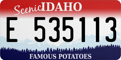 ID license plate E535113