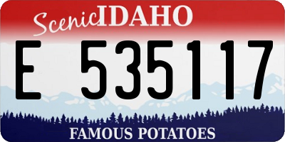 ID license plate E535117