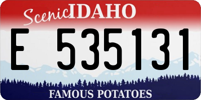 ID license plate E535131