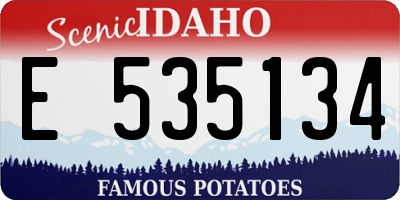 ID license plate E535134