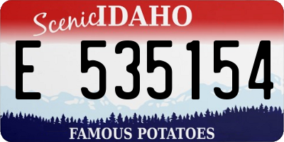 ID license plate E535154