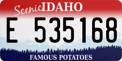 ID license plate E535168