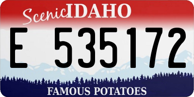 ID license plate E535172