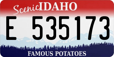 ID license plate E535173