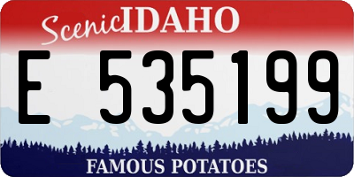 ID license plate E535199