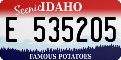 ID license plate E535205