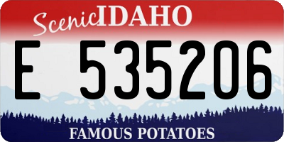 ID license plate E535206