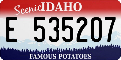 ID license plate E535207
