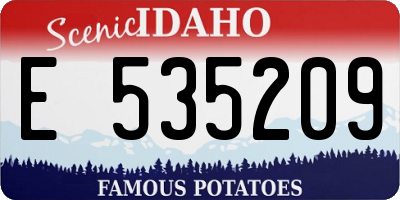 ID license plate E535209