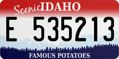 ID license plate E535213