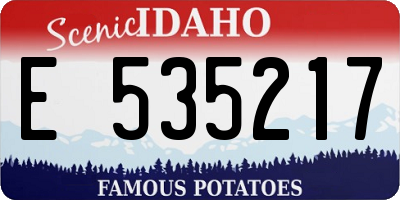 ID license plate E535217