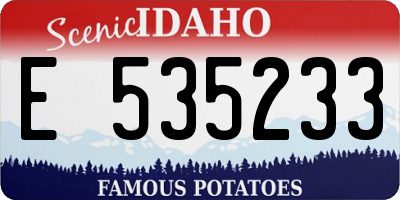ID license plate E535233
