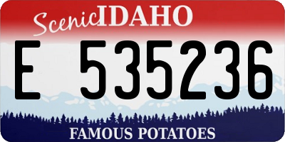 ID license plate E535236