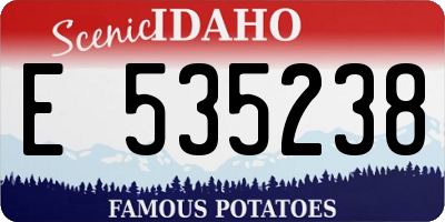 ID license plate E535238