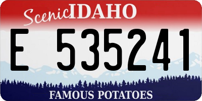 ID license plate E535241