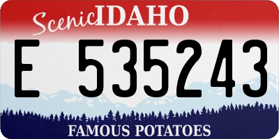 ID license plate E535243
