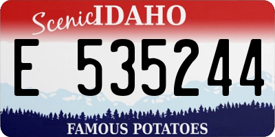 ID license plate E535244