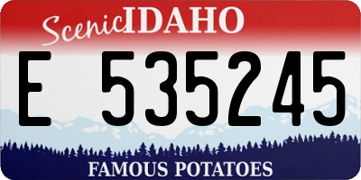 ID license plate E535245