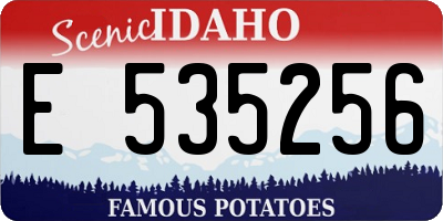 ID license plate E535256