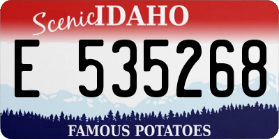 ID license plate E535268