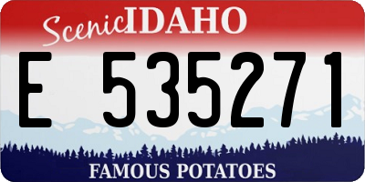 ID license plate E535271