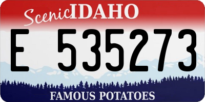 ID license plate E535273