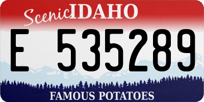 ID license plate E535289