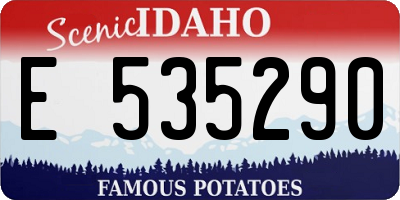 ID license plate E535290