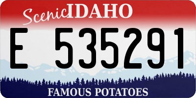 ID license plate E535291
