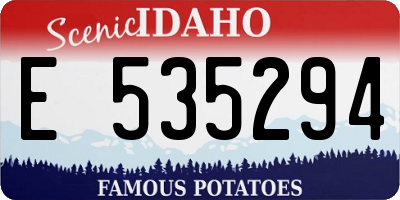 ID license plate E535294