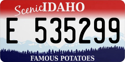 ID license plate E535299