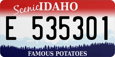 ID license plate E535301