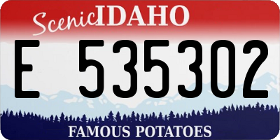 ID license plate E535302