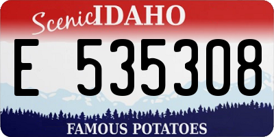 ID license plate E535308
