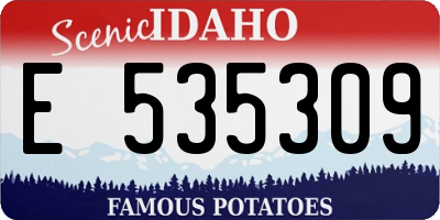 ID license plate E535309