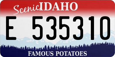 ID license plate E535310