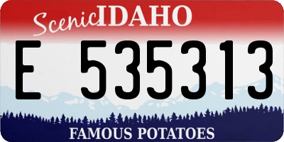 ID license plate E535313