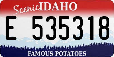 ID license plate E535318