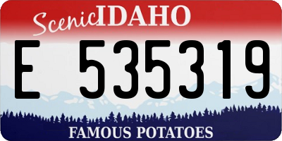 ID license plate E535319