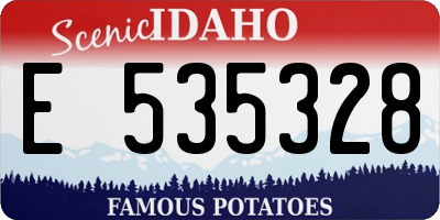 ID license plate E535328