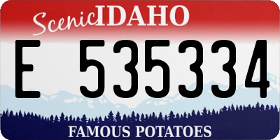 ID license plate E535334