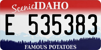 ID license plate E535383