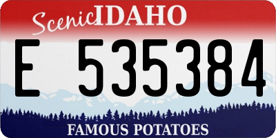 ID license plate E535384